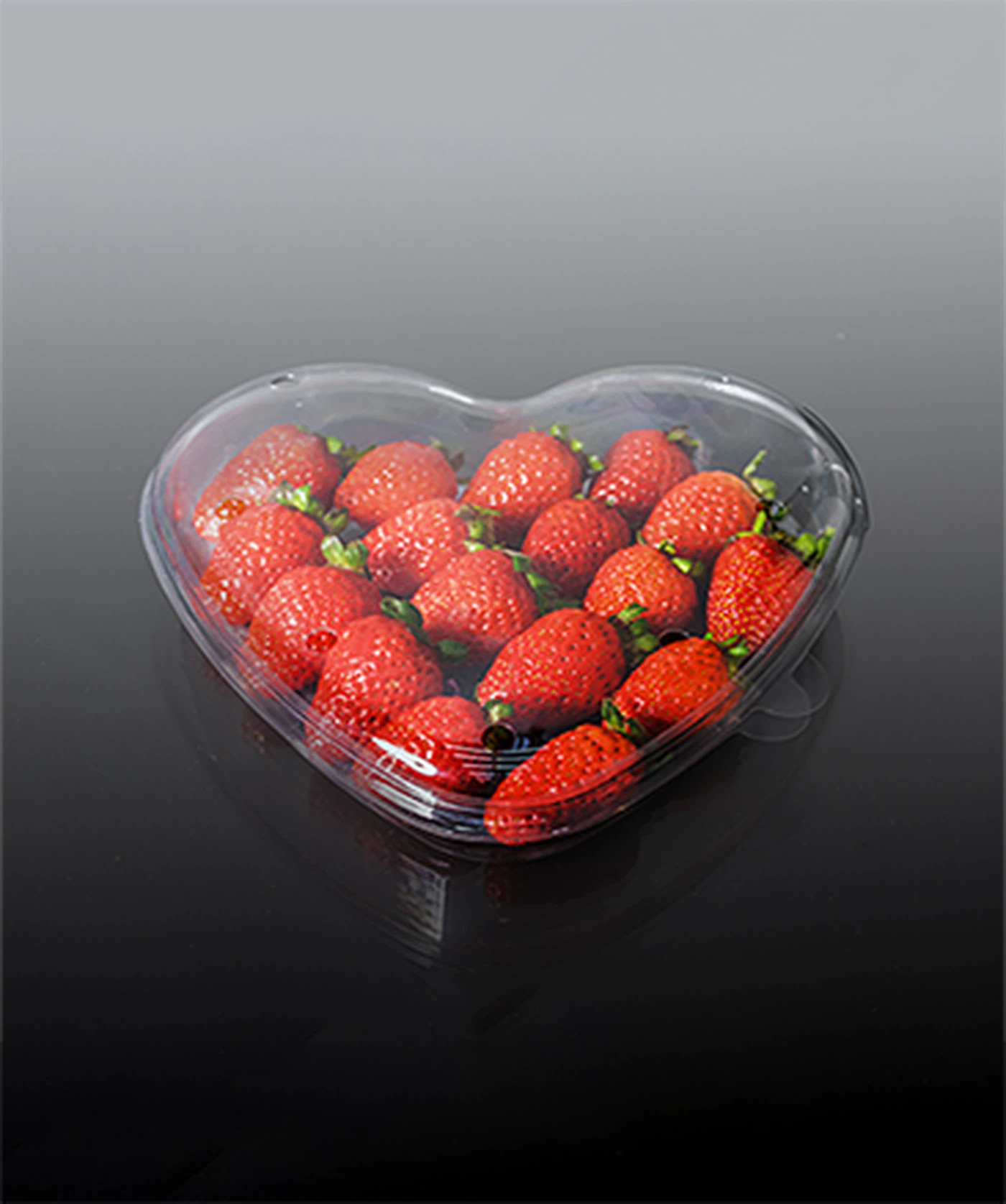 Food & Salad Containers Food & Salad Containers