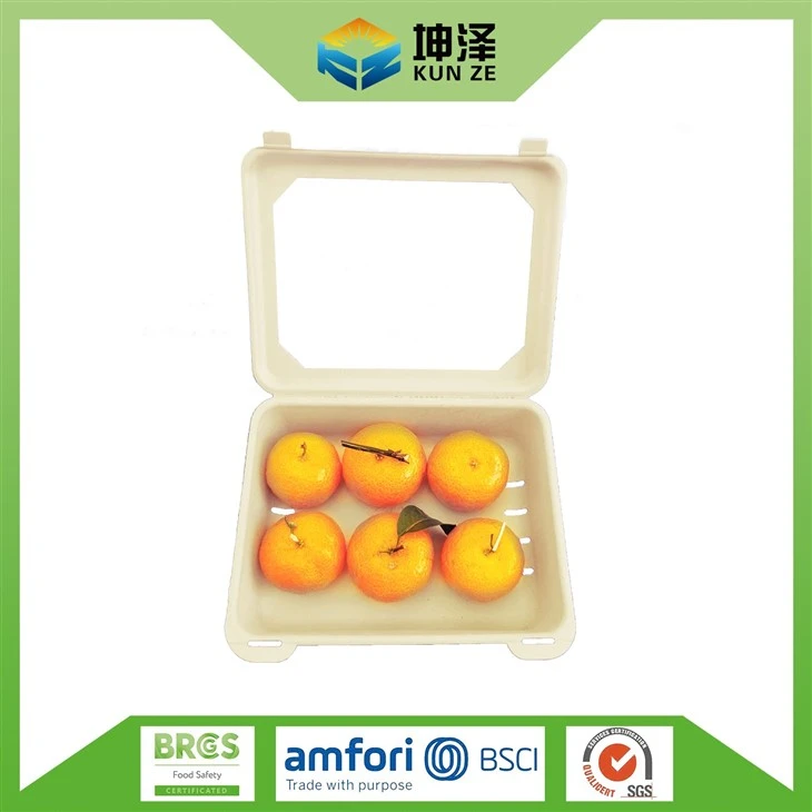 Biodegradable Fruit Punnets