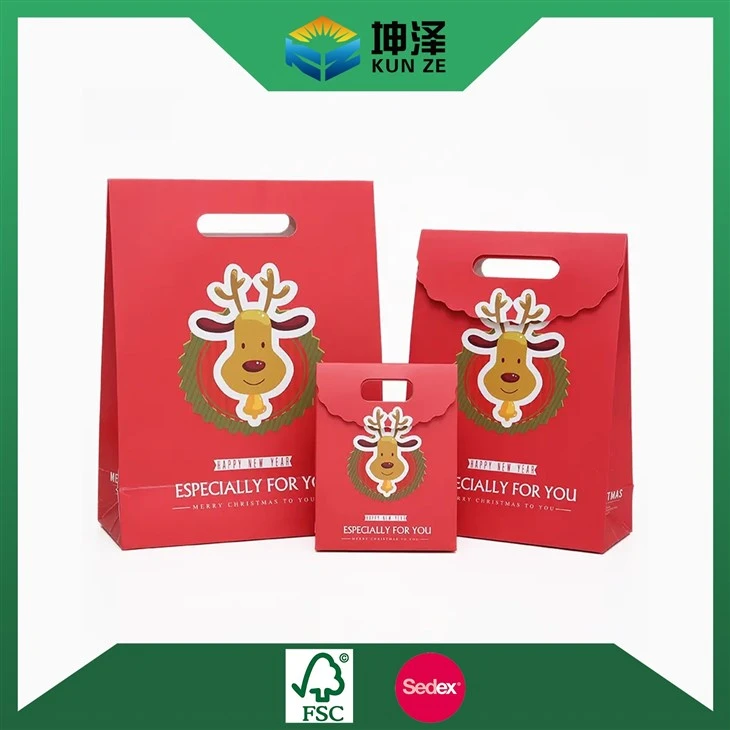 Christmas Gift Paper Bag