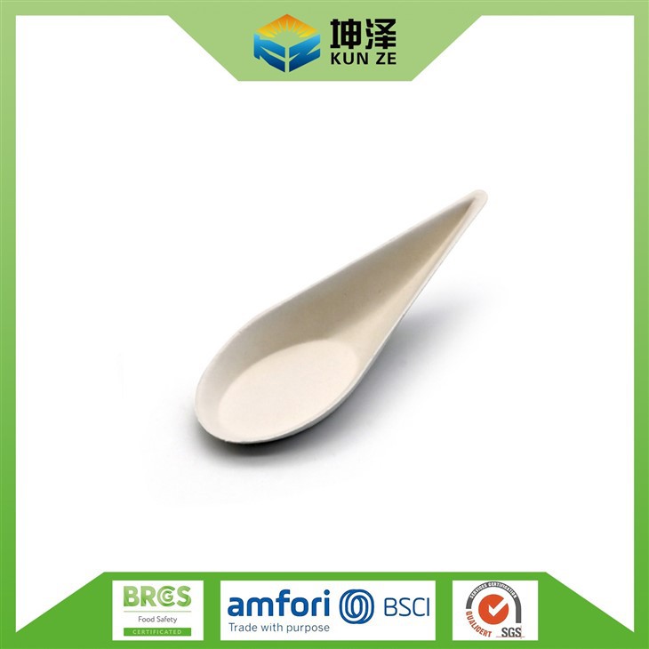 Disposable Soup Spoon