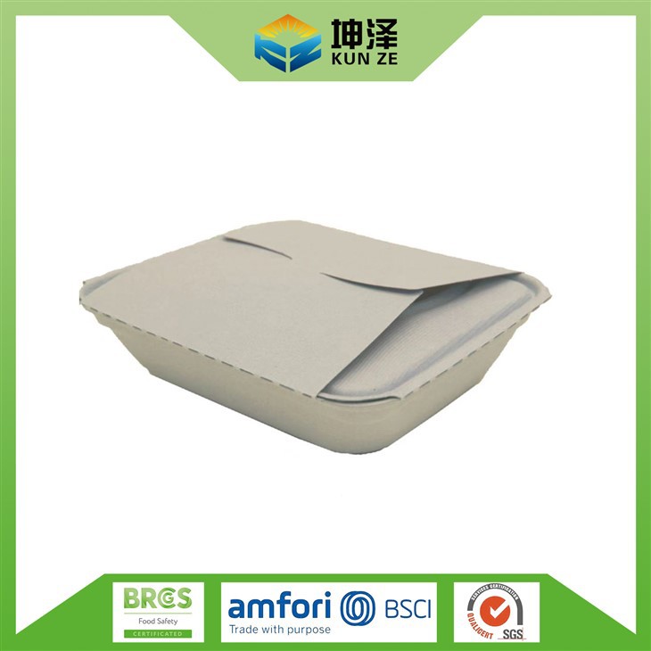 Hinged Lunch Box