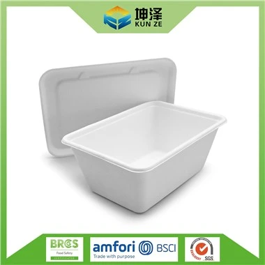 Contenedor desechable para lonchera