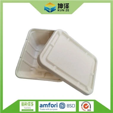 Envases desechables para comida para llevar