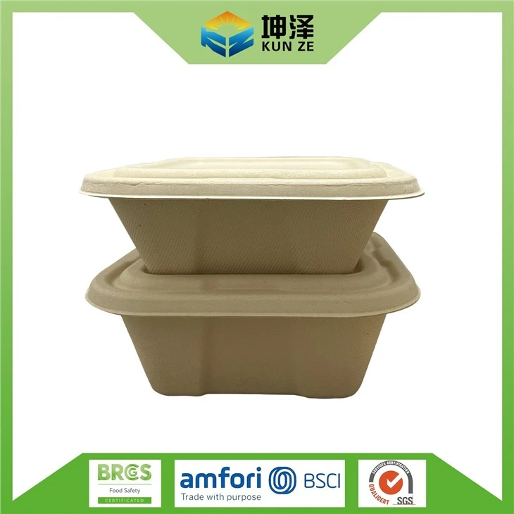 Square Takeaway Container