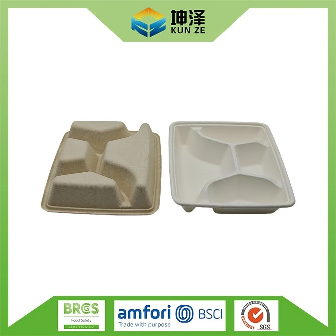 Bagasse Snack Tray