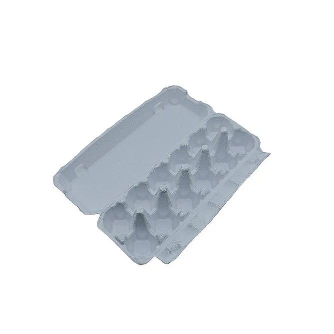 Egg Box Carton