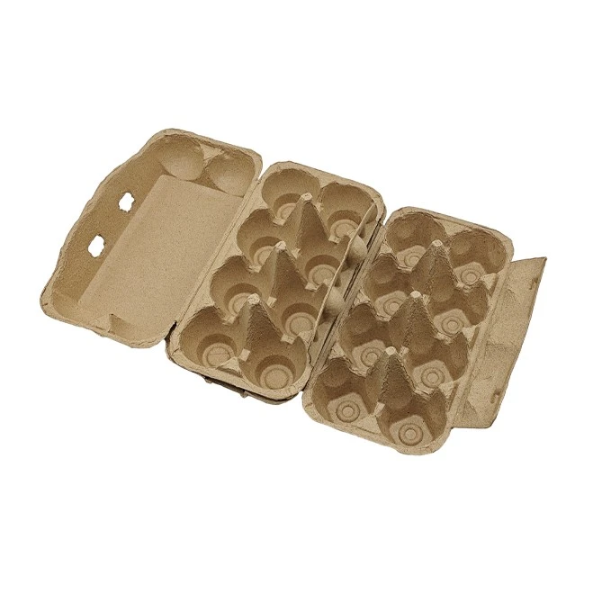 Eggs Carton