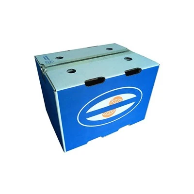Caja de suscripción de cítricos