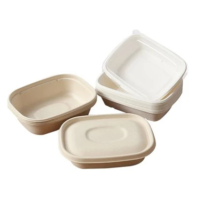 Cajas de picnic desechables