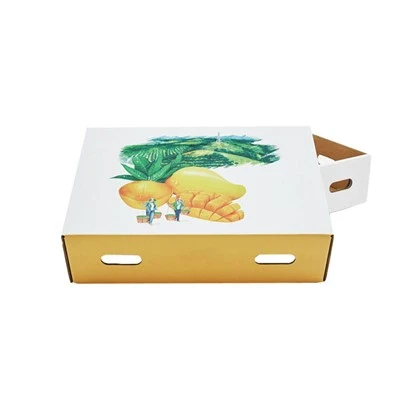 Caja Corrugada Mango