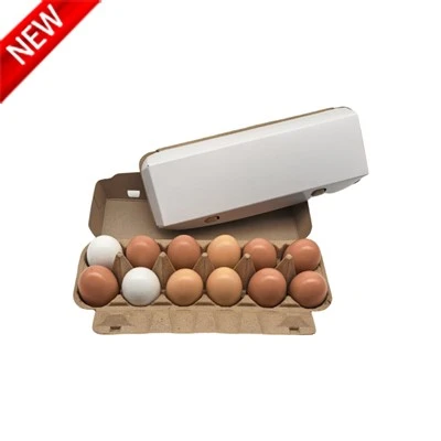 Cartones de huevos con tapa plana