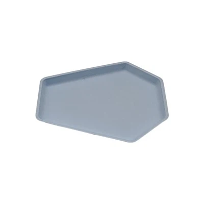 Plato desechable para fiesta